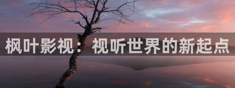 極速影院視頻：楓葉影視：視聽世界的新起點(diǎn)